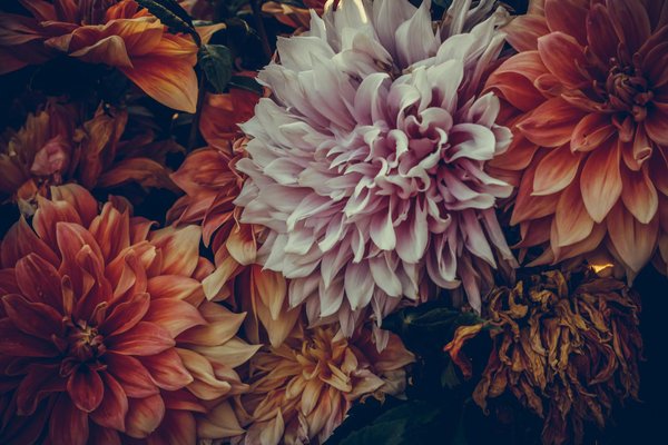 Quels sont les services de maçonnerie proposés à ancenis ?